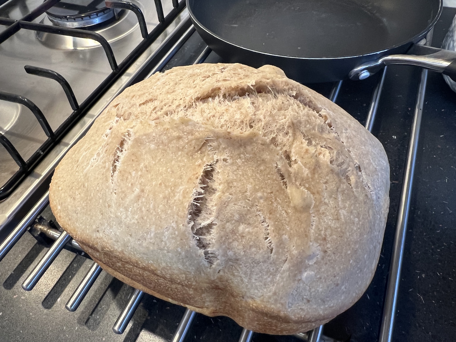 - high dome crust splits